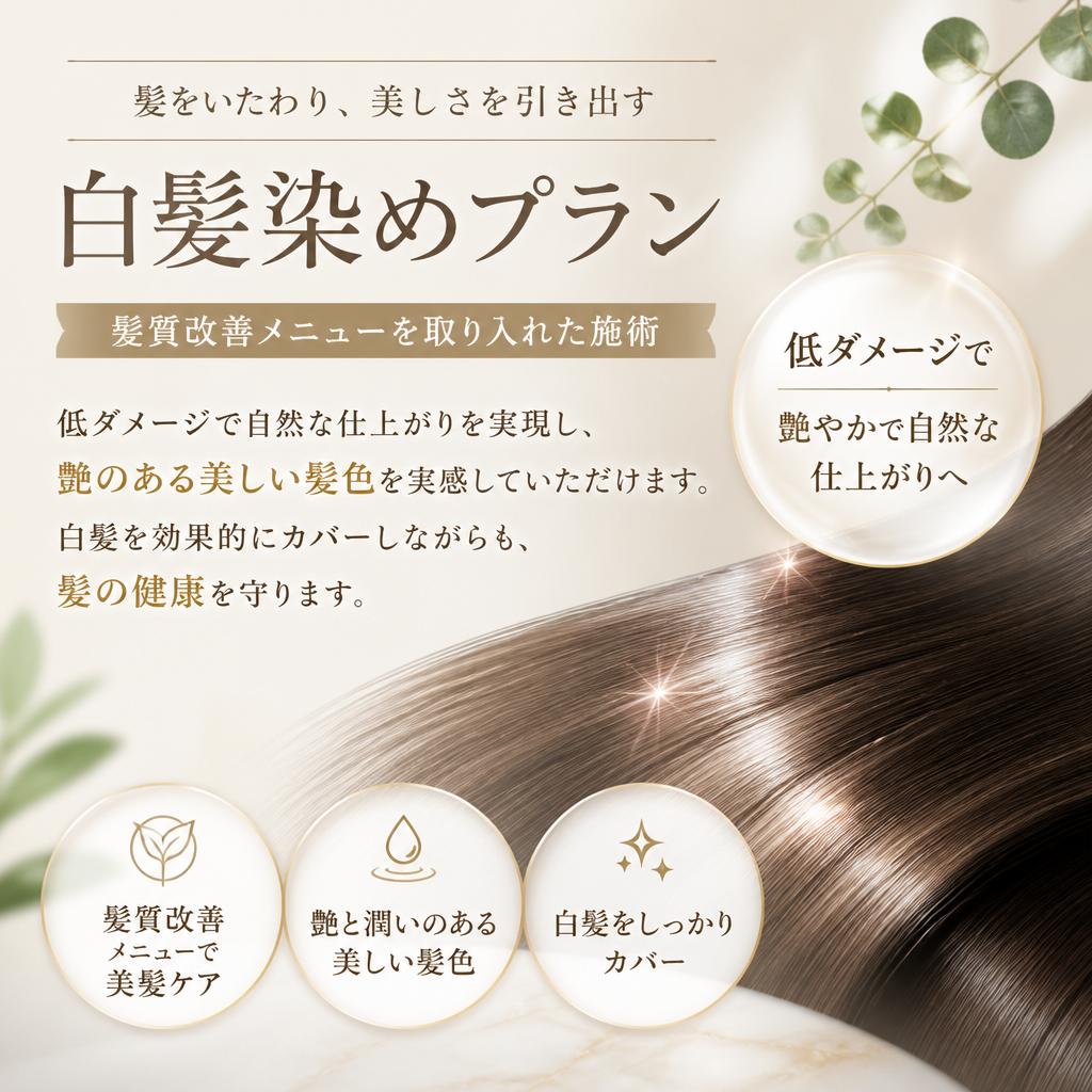 2. 艶やかな髪色を手に入れる白髪染めプラン
